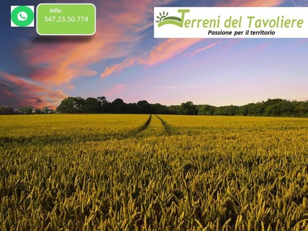 terreno agricolo in vendita a San Severo