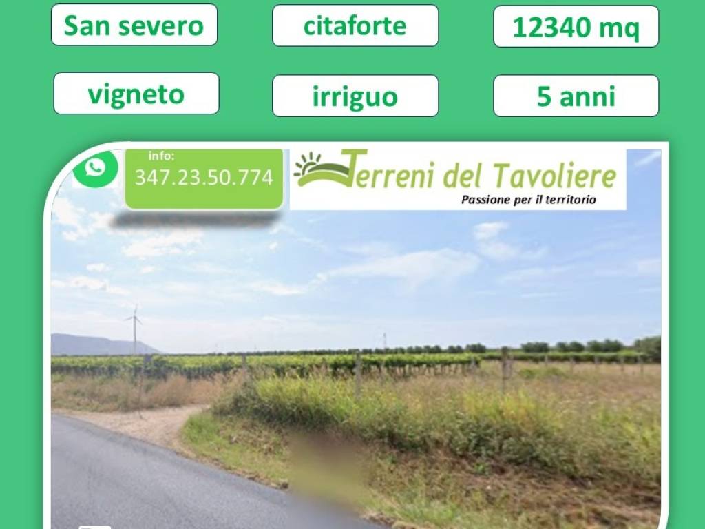 terreno in vendita a San Severo