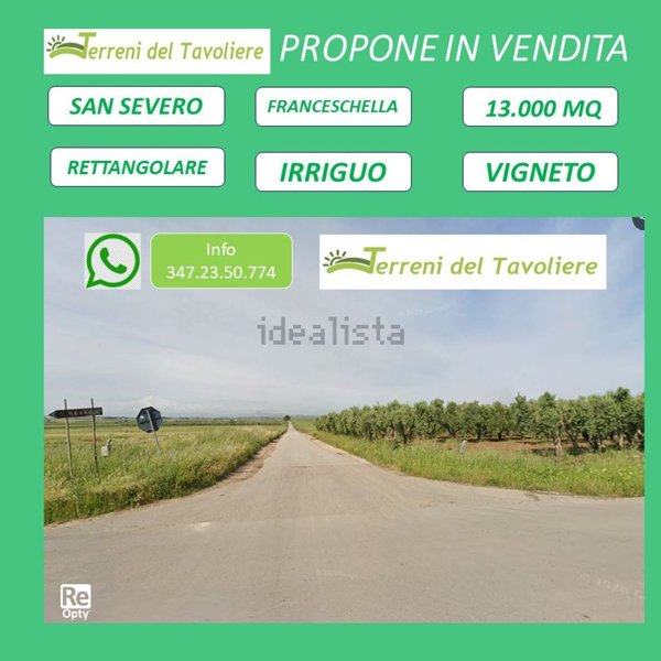 terreno in vendita a San Severo
