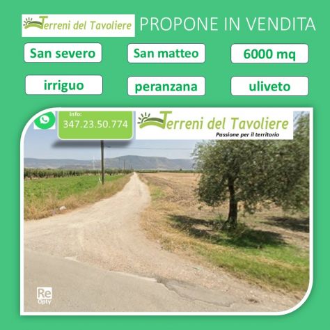 terreno agricolo in vendita a San Severo