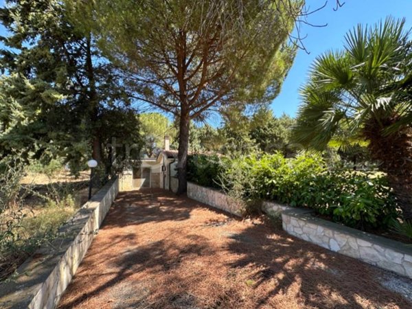 negozio in vendita a Serracapriola