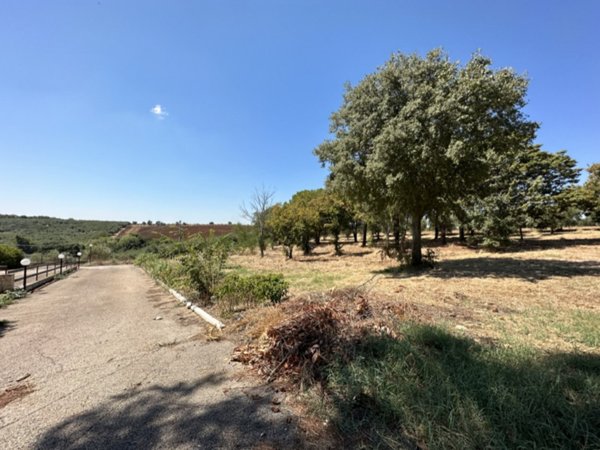 negozio in vendita a Serracapriola