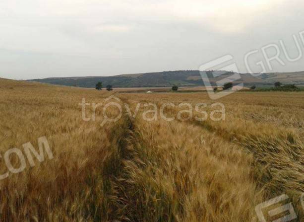casale in vendita a Serracapriola