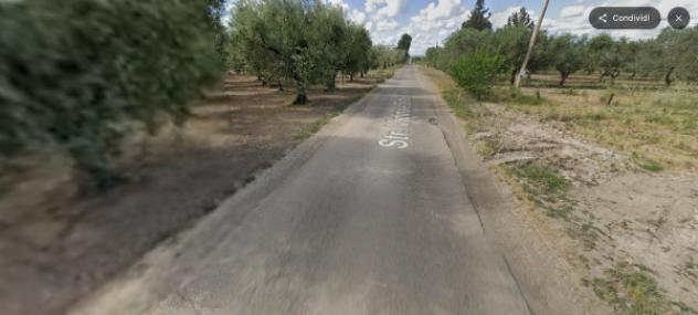 terreno agricolo in vendita a Stornara