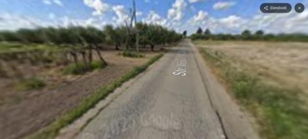 terreno agricolo in vendita a Stornara