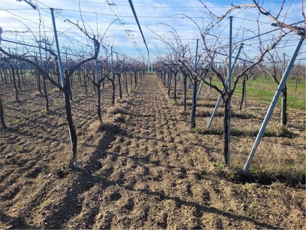 monolocale in vendita a Stornara