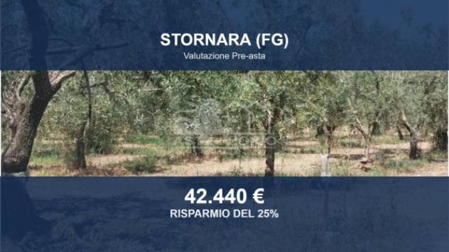 terreno agricolo in vendita a Stornara