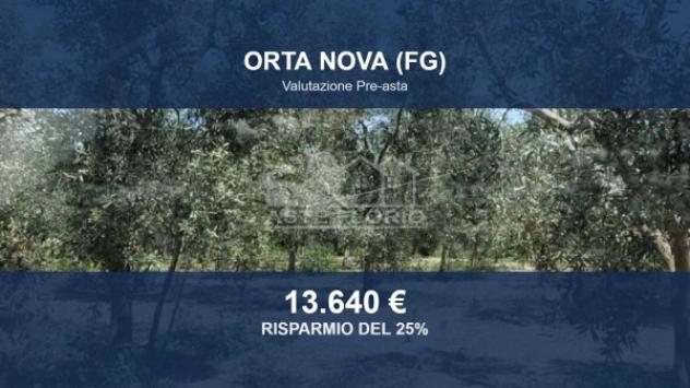 terreno agricolo in vendita a Stornara