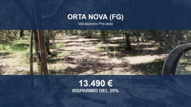 terreno agricolo in vendita a Stornara
