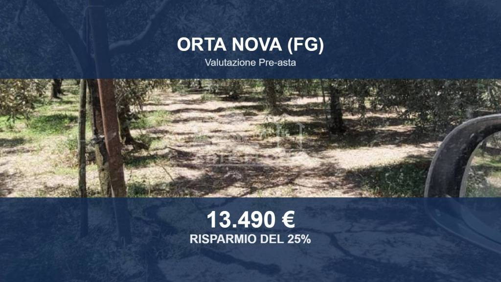 terreno agricolo in vendita a Stornara