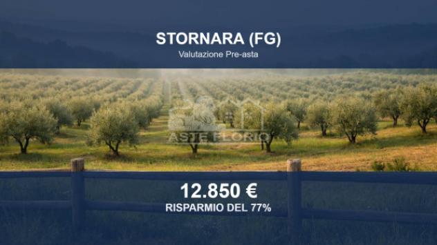 terreno agricolo in vendita a Stornara