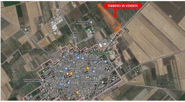 terreno edificabile in vendita a Stornarella