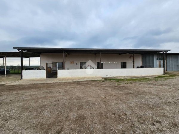 casa indipendente in vendita a Torremaggiore