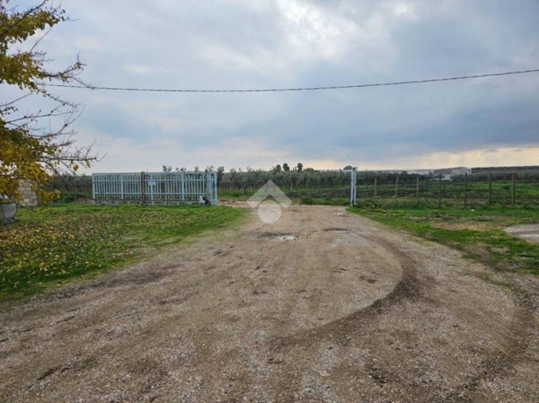 casa indipendente in vendita a Torremaggiore
