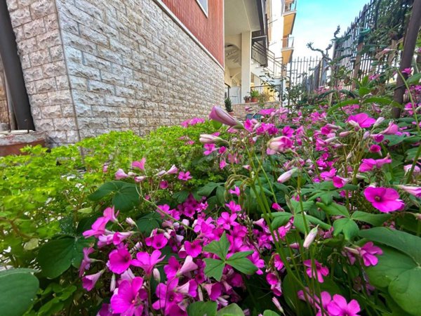 casa indipendente in vendita a Torremaggiore
