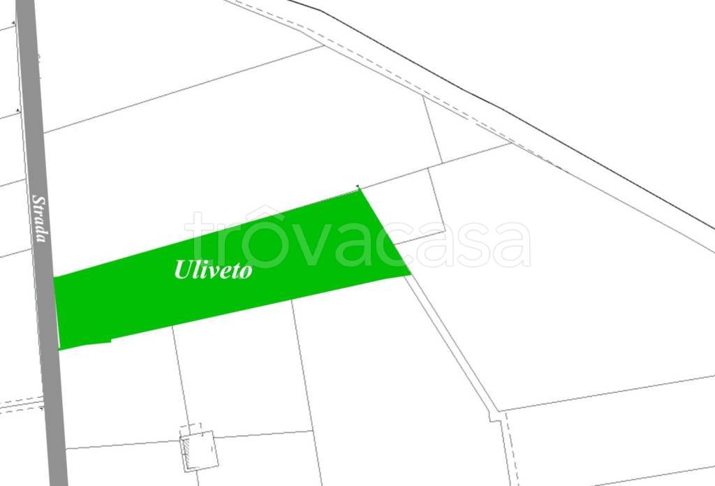 terreno agricolo in vendita a Torremaggiore