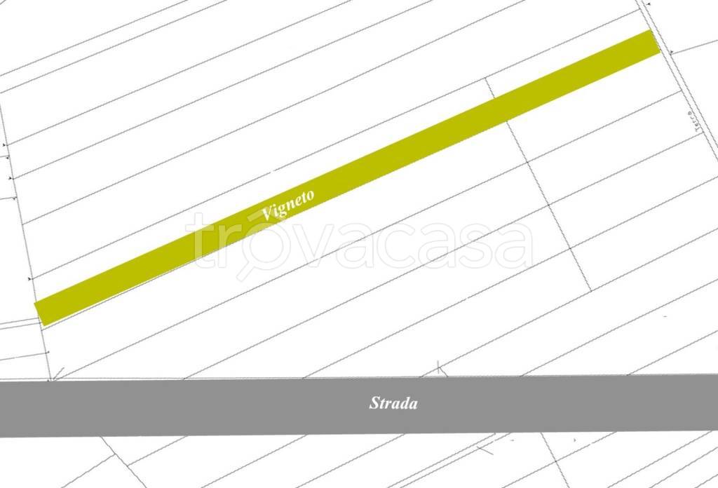 terreno agricolo in vendita a Torremaggiore