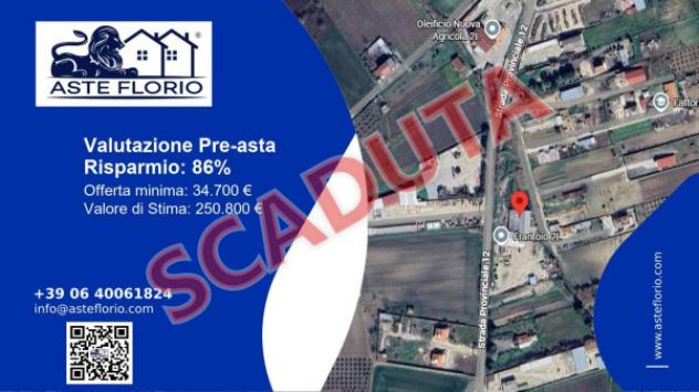 pentavano in vendita a Torremaggiore