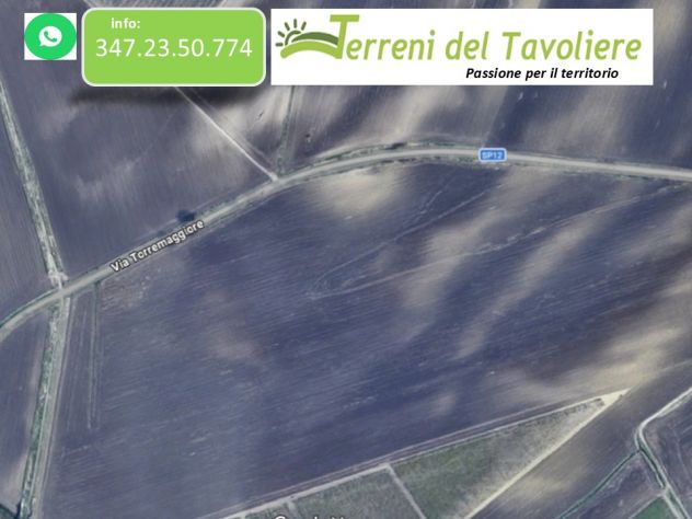 terreno agricolo in vendita a Torremaggiore