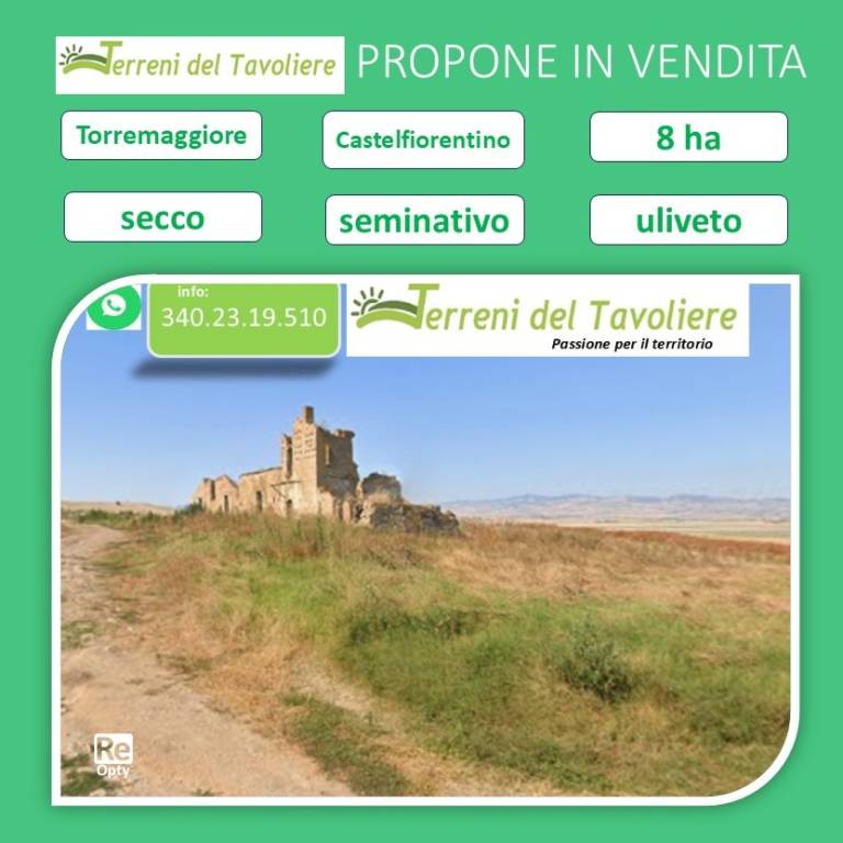 terreno agricolo in vendita a Torremaggiore