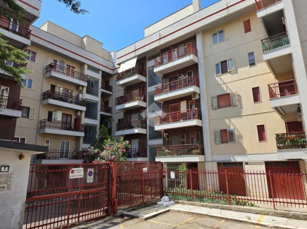 appartamento in vendita a Torremaggiore