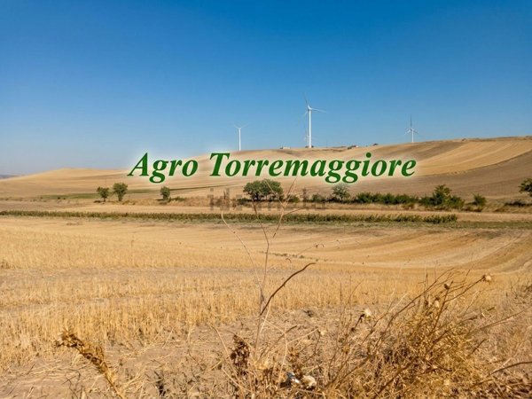 terreno agricolo in vendita a Torremaggiore