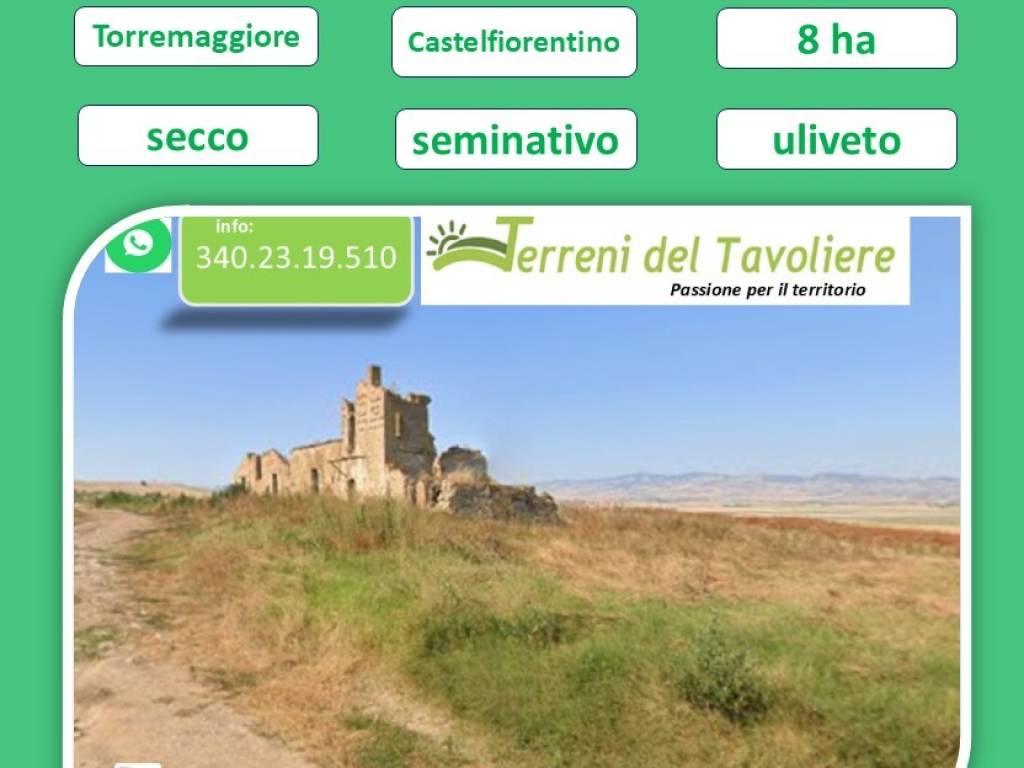 terreno agricolo in vendita a Torremaggiore