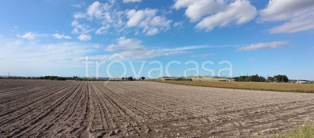 terreno agricolo in vendita a Troia