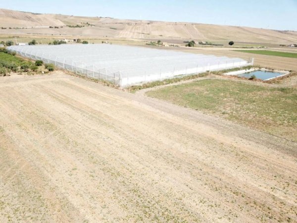terreno agricolo in vendita a Troia