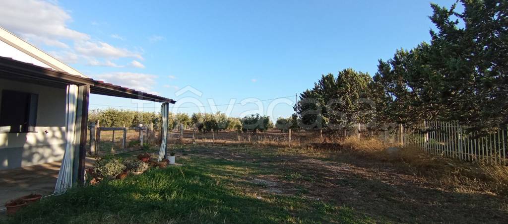 terreno agricolo in vendita a Troia