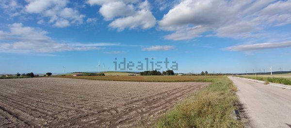 terreno agricolo in vendita a Troia