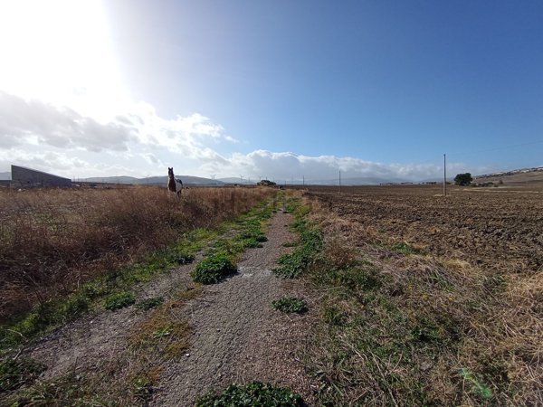 terreno agricolo in vendita a Troia