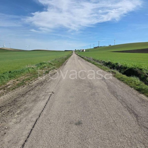 terreno agricolo in vendita a Troia
