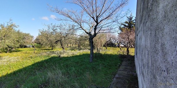 appartamento in vendita a Troia