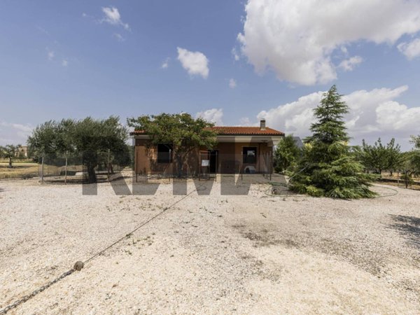 casa indipendente in vendita a Troia