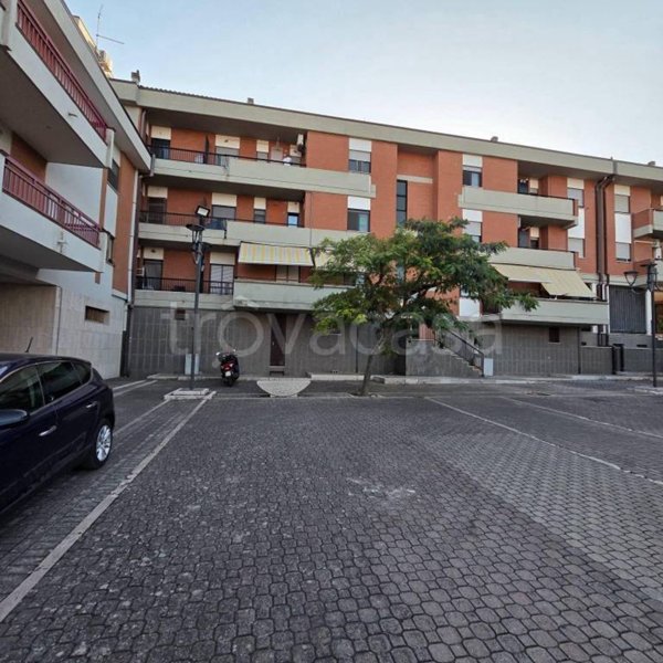 immagine annuncio 0 di 15