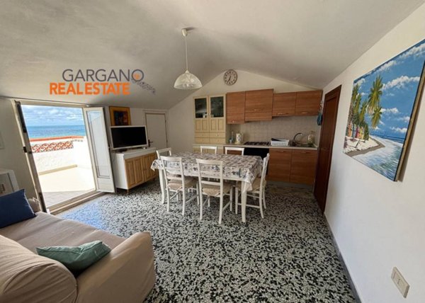 appartamento in vendita a Vico del Gargano in zona San Menaio