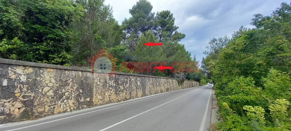 terreno agricolo in vendita a Vico del Gargano