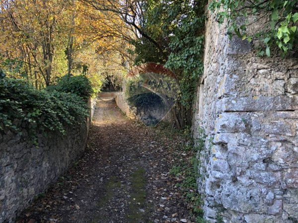 terreno agricolo in vendita a Vico del Gargano