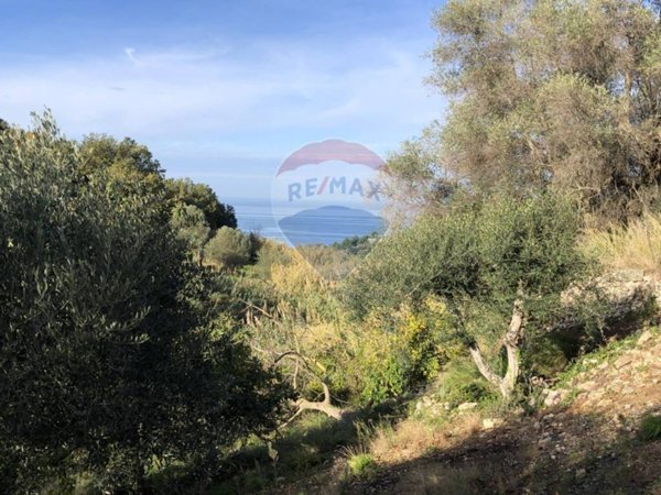 terreno agricolo in vendita a Vico del Gargano