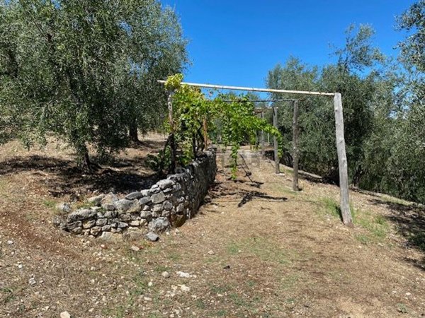 appartamento in vendita a Vico del Gargano