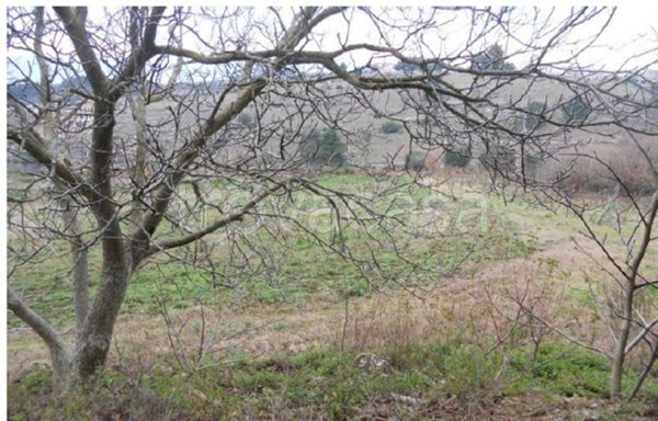 terreno agricolo in vendita a Vico del Gargano