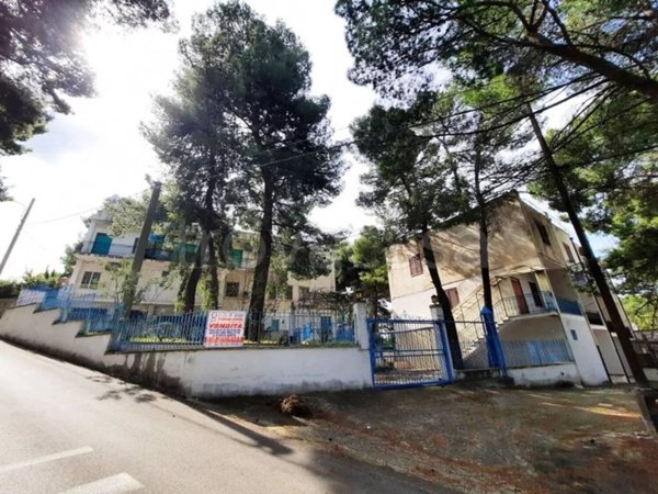 casa indipendente in vendita a Vico del Gargano in zona San Menaio