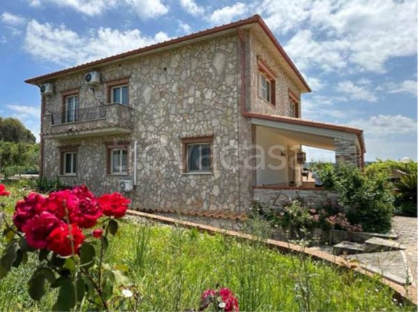 casa indipendente in vendita a Vico del Gargano in zona San Menaio
