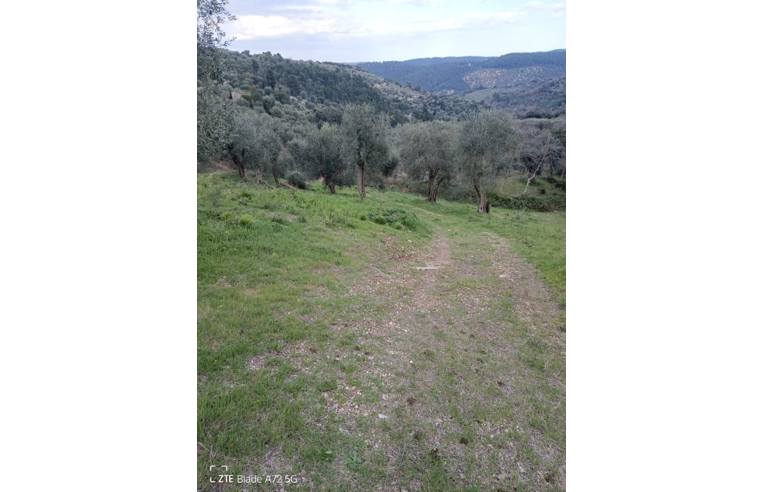 terreno agricolo in vendita a Vico del Gargano