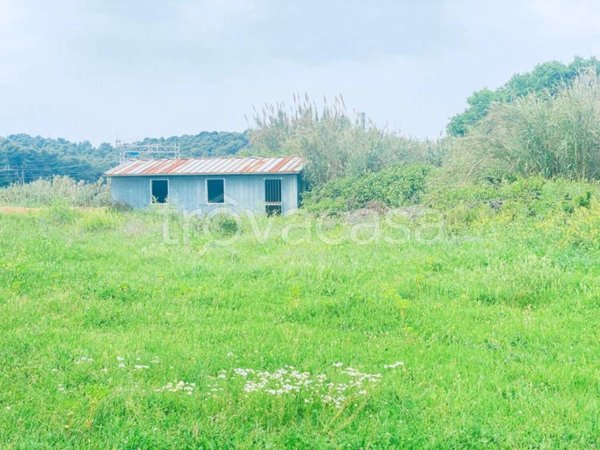 negozio in vendita a Vico del Gargano