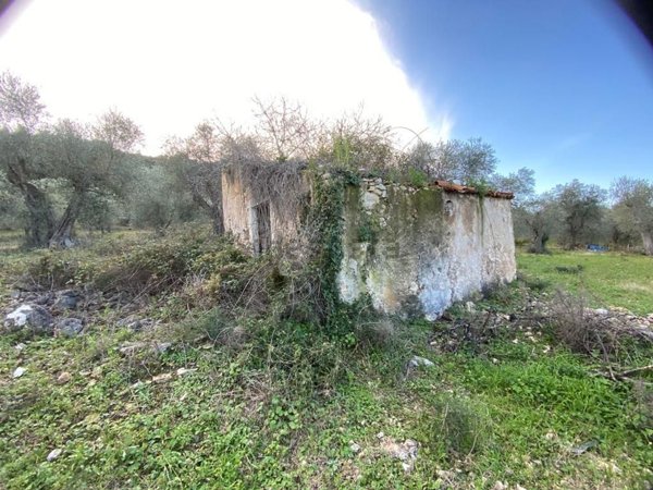 appartamento in vendita a Vico del Gargano in zona San Menaio