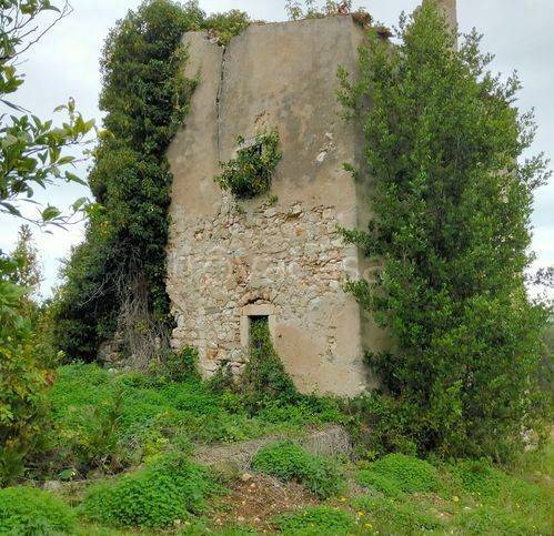 terreno agricolo in vendita a Vico del Gargano