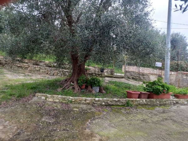casa indipendente in vendita a Vico del Gargano