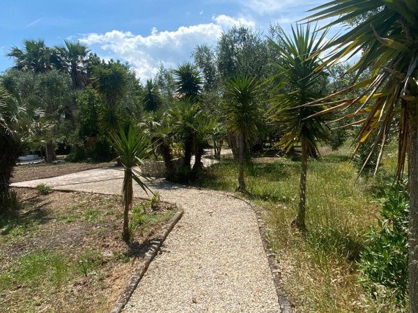 esavano in vendita a Vico del Gargano